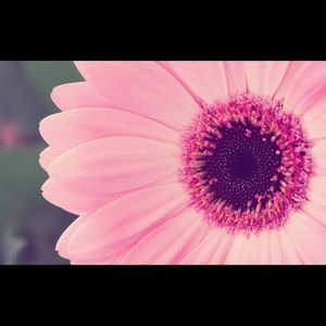 Meet your Posher, Skylar